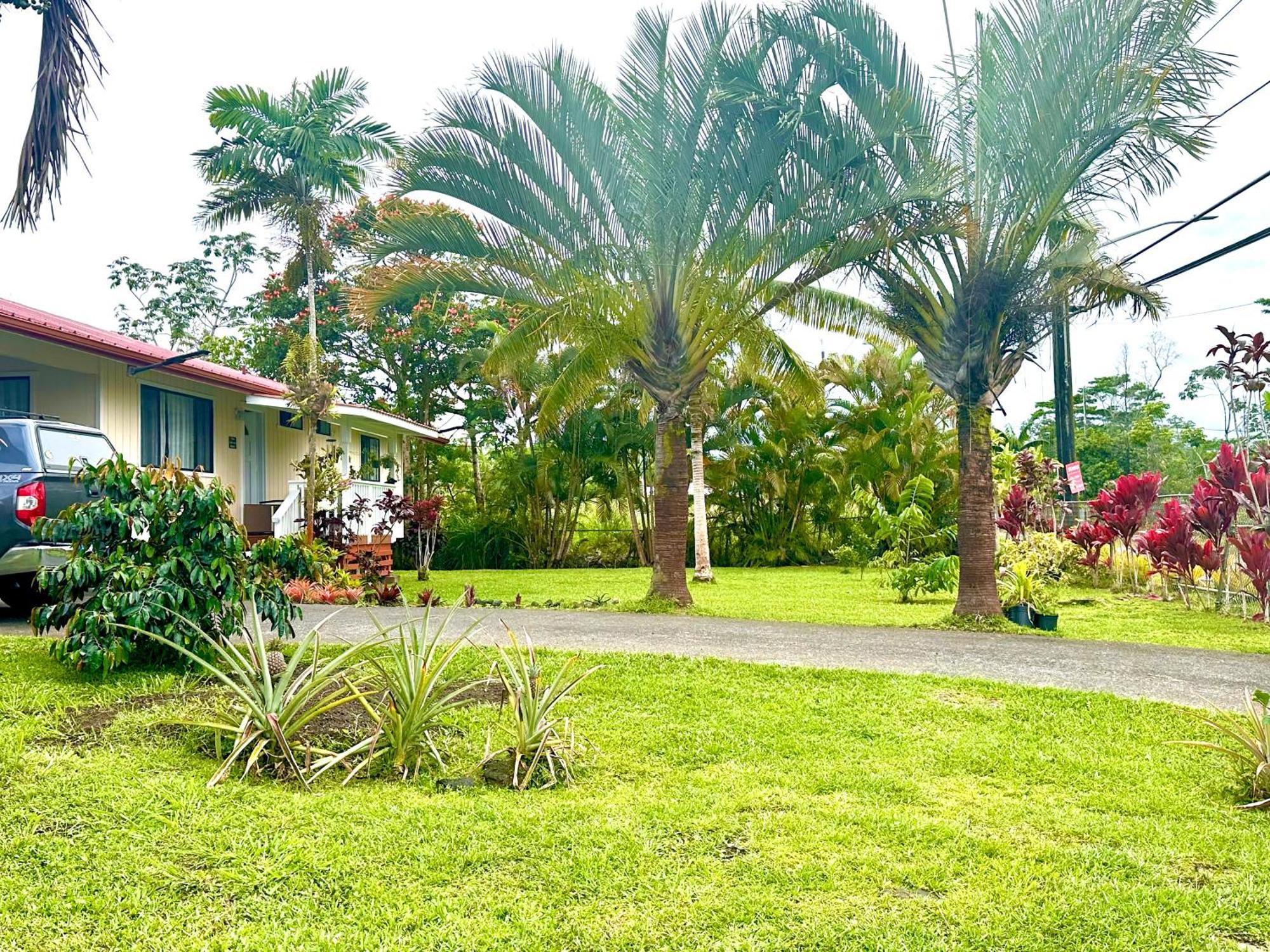 Big Island Getaway Apartman Pahoa Kültér fotó
